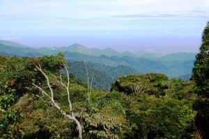 uf dem Gunung Jasar auf 1.696 Metern Höhe genießt man einen weiten Blick über die sanften Hügel der Teeanbaugegend.