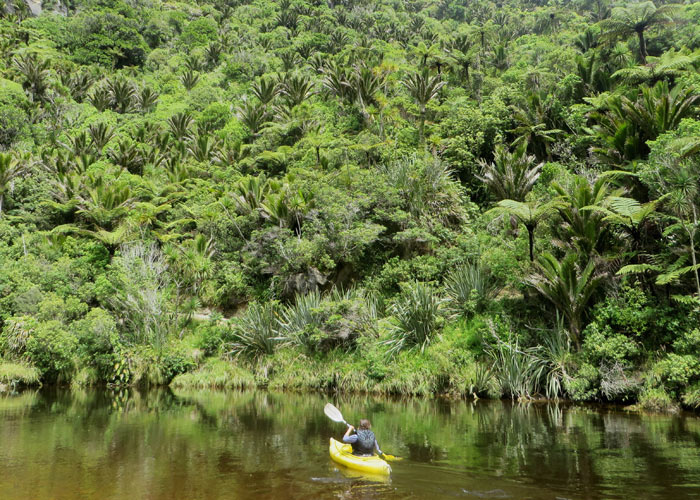 Kajaktour in Punakaiki