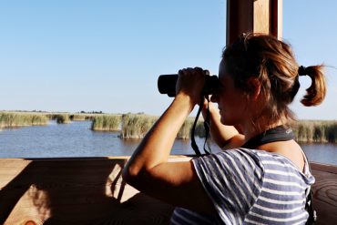 Mit dem Fernglas im Nationalpark Neusiedler See