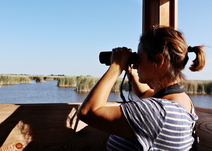 Mit dem Fernglas im Nationalpark Neusiedler See