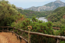 Langsam reisen_italienische Landschaft