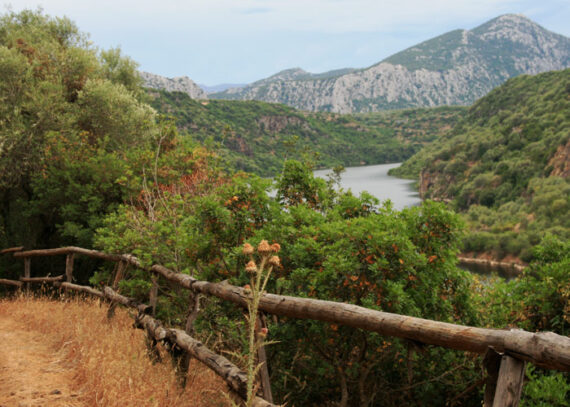 Langsam reisen_italienische Landschaft