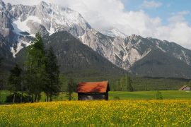 Mieminger Plateau mit Mieminger Gebirge