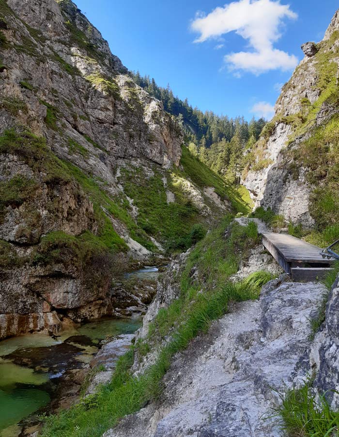 Flussbaden in Oesterreich_Oetschergraeben Weg