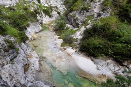 Flussbaden in Oesterreich