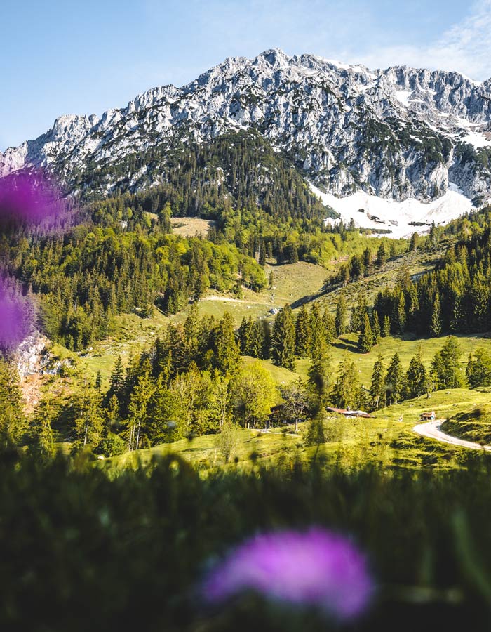 Naturschutzgebiet Kaisergebirge