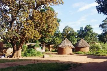 Traditionelle Hütten im Tschad