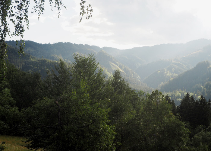 Ausblick Gut Trögern