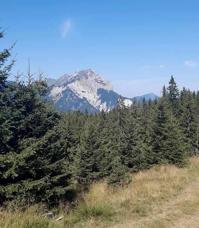 Ausblick vom Storschitz