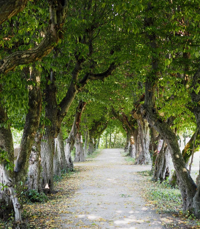 Stiftsgarten Reichersberg