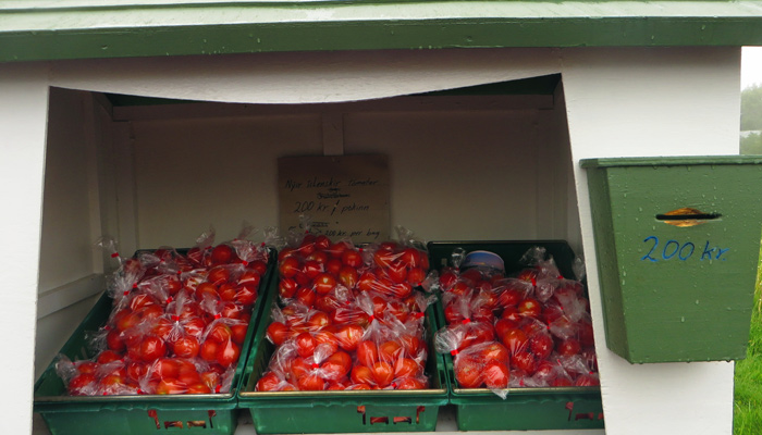 Tomaten aus Island