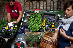 Bauernmarkt im Szimpla Kert