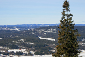 Natur in Oslo