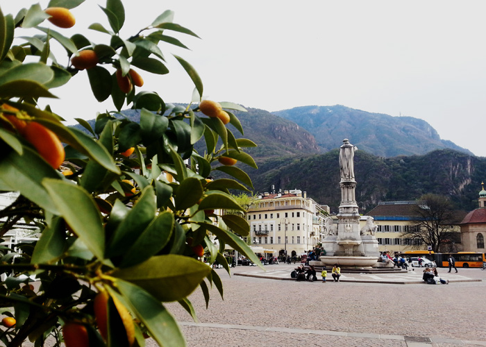 Waltherplatz in Bozen, Südtirol