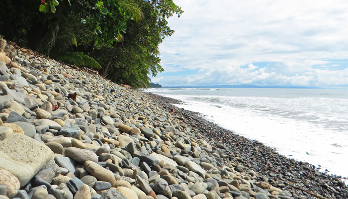 Meeresnationalpark Marino Ballena