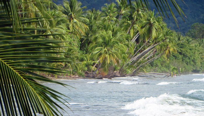 Nationalpark Marino Ballena in Costa Rica