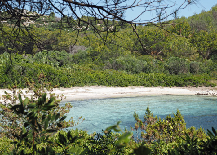 Strände auf Dugi otok_Sandtrand im Naturpark Telasica