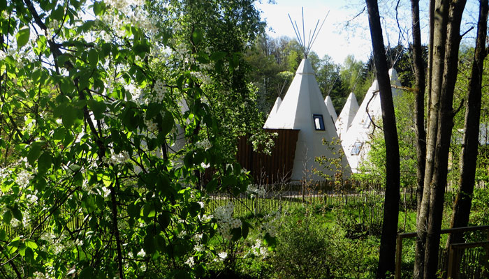 Tipi-Zelte im Ikuna Naturresort in Natternbach