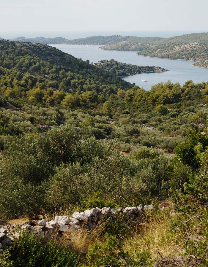 Dugi otok_schoenster Insel in Kroatien_ Naturpark Telašćica