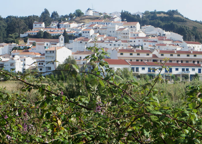 Blick auf Odexeice in Portugal