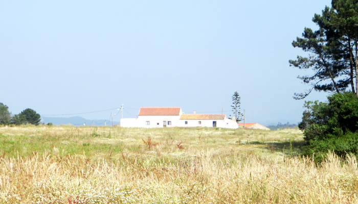 Haus im typischen Stil der Region Alentejo