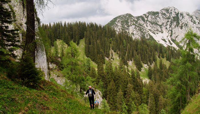 Salzkammergut BergeSeen Trail_Weitwanderweg in Österreich_Bergblick
