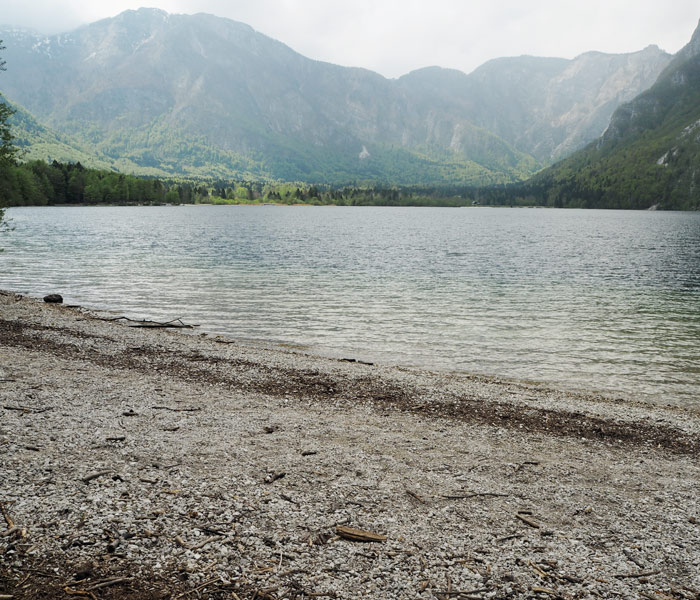 Bohinj See_Ufer_Slowenien