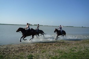 Strand_Apetlon_MarionOberegger_600x400