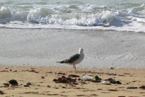 Strand_Suedkorea_Busan_ManuelHaeusler_600x400