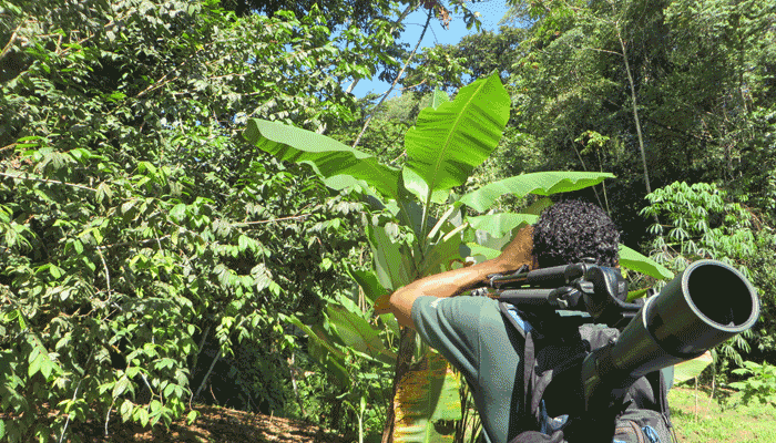 Tourguide in Costa Rica