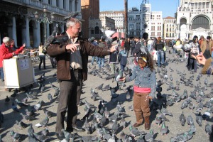 Die Tauben am Markusplatz trotzen den Saisone - sie sind immer da und werden von den Touristen reichlich gefüttert.