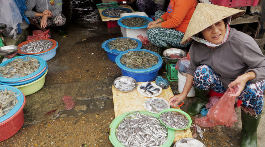 Fischmarkt in Vietnam