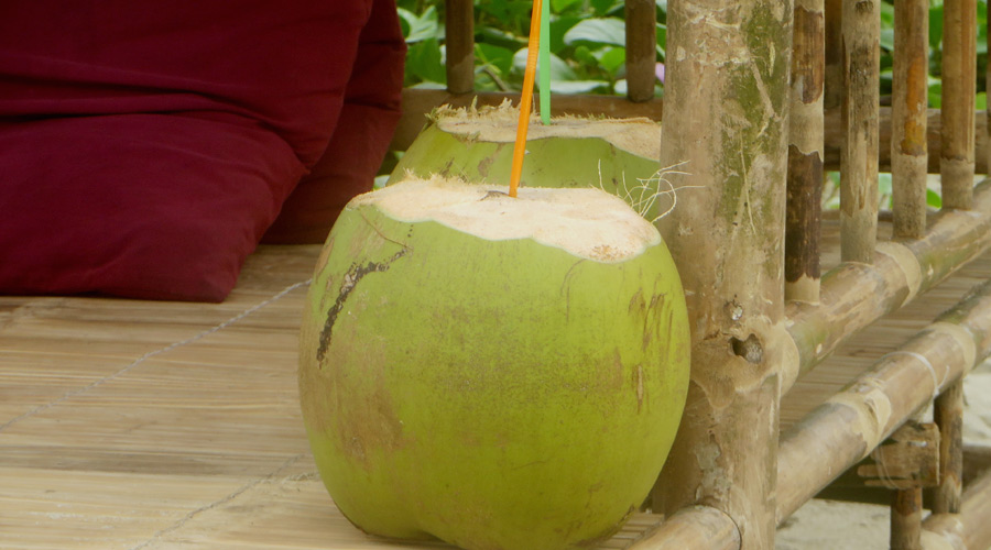 Kokosnuss in Vietnam