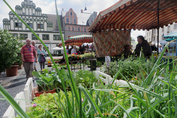 Marktplatz in Weimar