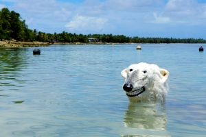 Künstlerprojekt am Klimagipfel: Dem Eisbären steht das Wasser bis zum Halse.