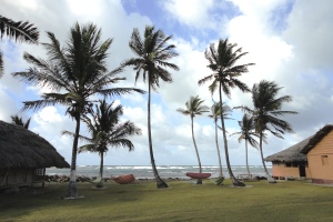 Palmen säumen die Strände der kleinen Inseln von San Blás.
